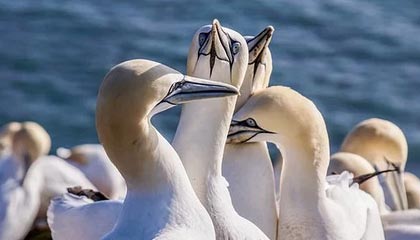 开云体育官网入口网页-巴黎战平梅斯，难解难分胜负