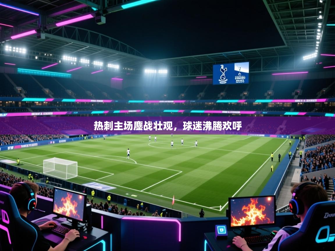 热刺主场鏖战壮观，球迷沸腾欢呼  第1张