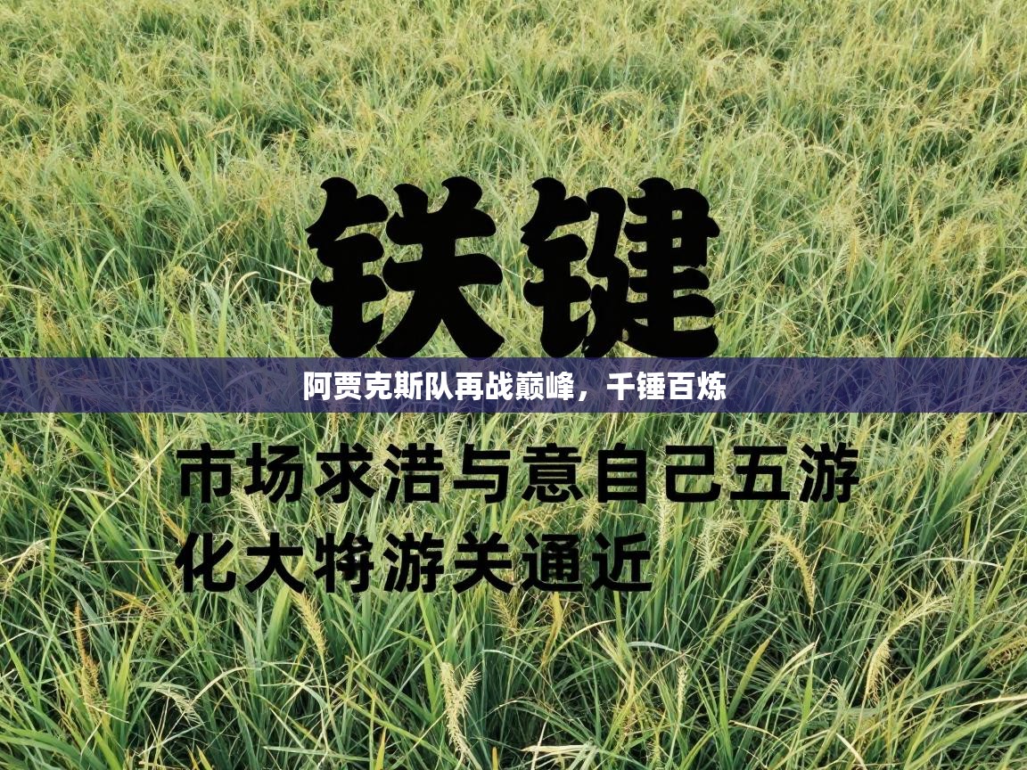 阿贾克斯队再战巅峰，千锤百炼  第1张