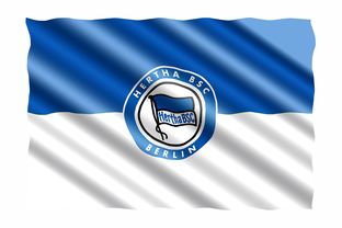 开云体育网站入口-柏林赫塔欲签下球员，提升球队整体实力，柏林赫塔球迷