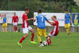 开云体育下摘-多特蒙德主场失利，冲击欧冠资格岌岌可危